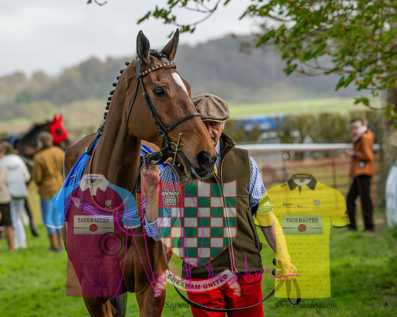 Race 4 - Aston Mullins Stud. Mens Open (14 of 108)