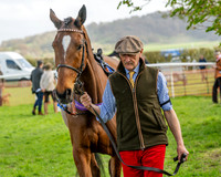 Race 4 - Aston Mullins Stud. Mens Open (16 of 108)