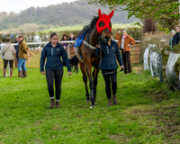 Race 4 - Aston Mullins Stud. Mens Open (19 of 108)