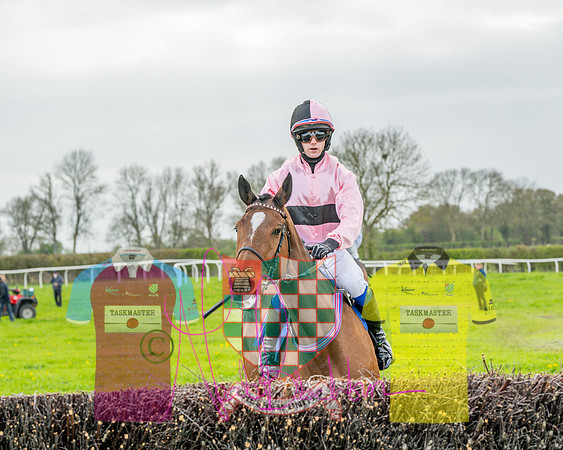Race 4 - Aston Mullins Stud. Mens Open (29 of 108)