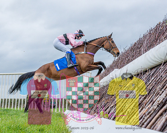 Race 4 - Aston Mullins Stud. Mens Open (35 of 108)