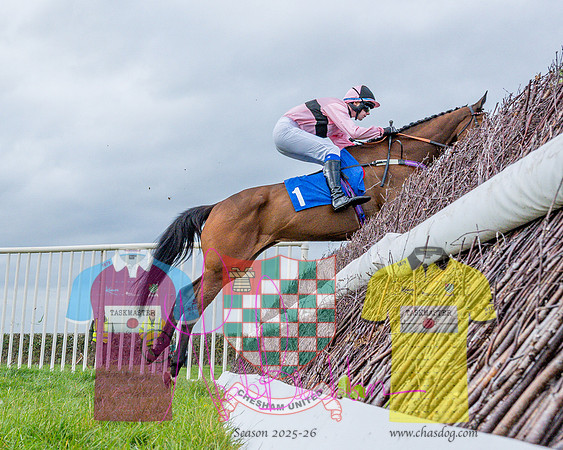 Race 4 - Aston Mullins Stud. Mens Open (36 of 108)