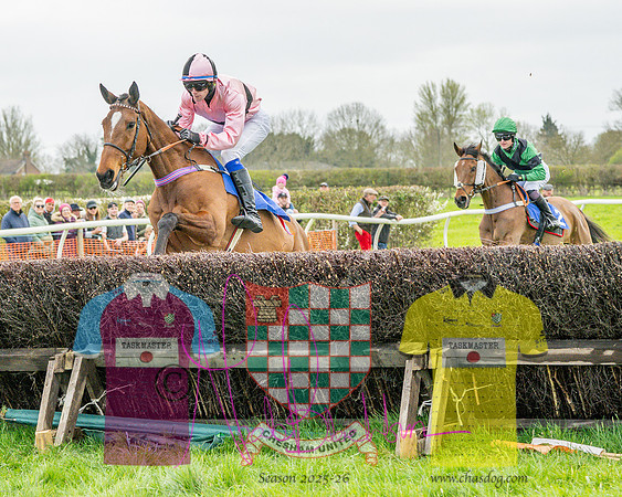 Race 4 - Aston Mullins Stud. Mens Open (39 of 108)