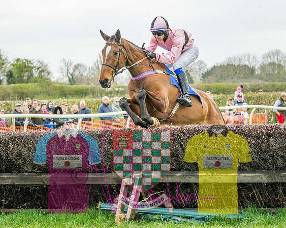 Race 4 - Aston Mullins Stud. Mens Open (40 of 108)