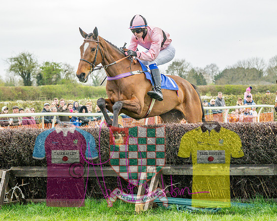 Race 4 - Aston Mullins Stud. Mens Open (41 of 108)