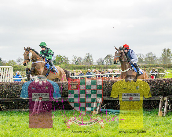 Race 4 - Aston Mullins Stud. Mens Open (43 of 108)