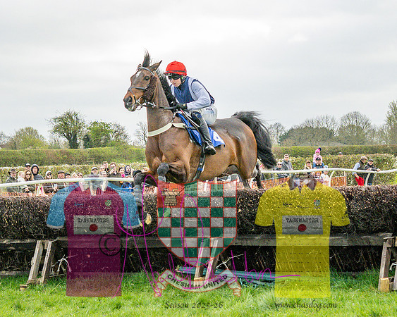 Race 4 - Aston Mullins Stud. Mens Open (47 of 108)