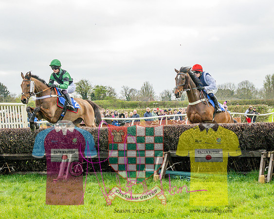 Race 4 - Aston Mullins Stud. Mens Open (44 of 108)