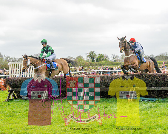 Race 4 - Aston Mullins Stud. Mens Open (46 of 108)