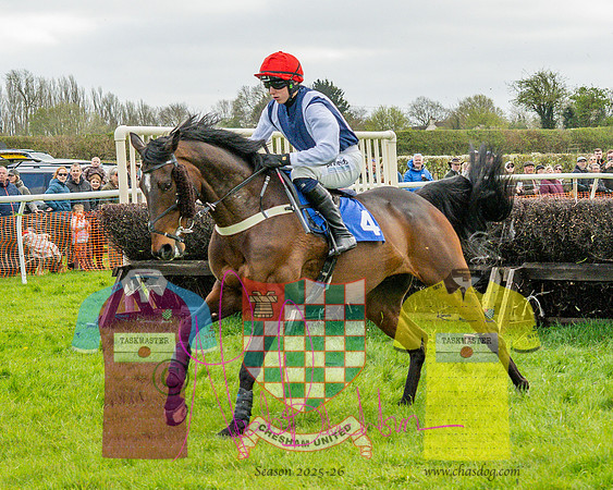 Race 4 - Aston Mullins Stud. Mens Open (50 of 108)