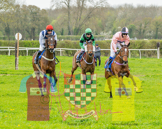 Race 4 - Aston Mullins Stud. Mens Open (53 of 108)