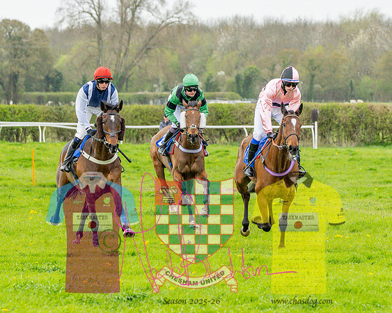 Race 4 - Aston Mullins Stud. Mens Open (54 of 108)