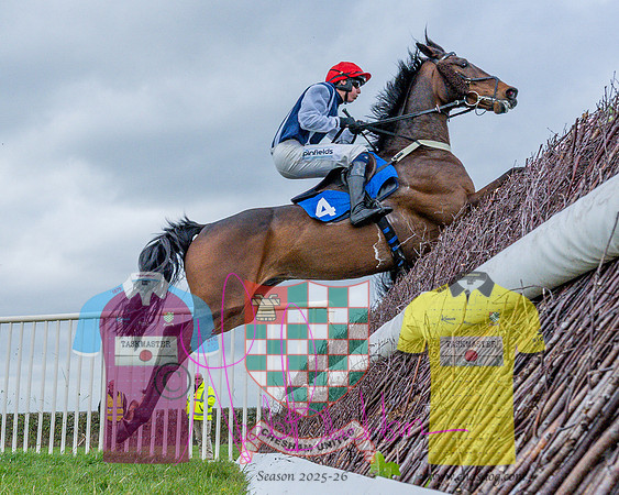 Race 4 - Aston Mullins Stud. Mens Open (58 of 108)