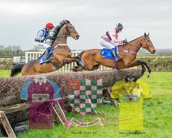 Race 4 - Aston Mullins Stud. Mens Open (61 of 108)