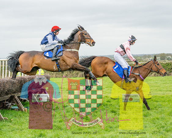 Race 4 - Aston Mullins Stud. Mens Open (64 of 108)