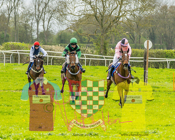 Race 4 - Aston Mullins Stud. Mens Open (69 of 108)