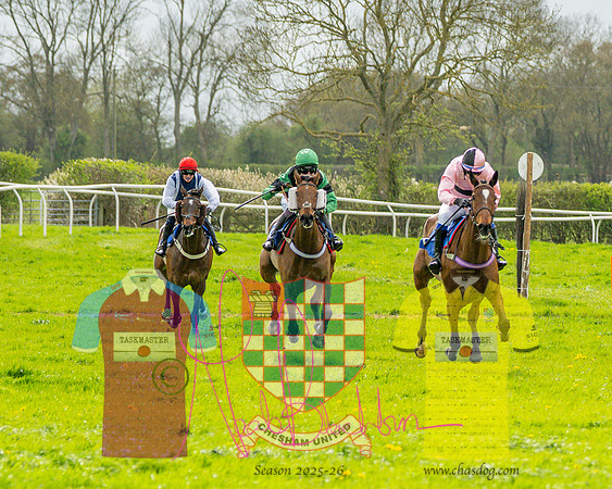 Race 4 - Aston Mullins Stud. Mens Open (70 of 108)