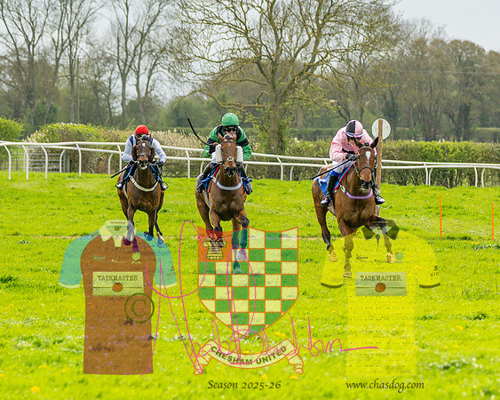 Race 4 - Aston Mullins Stud. Mens Open (71 of 108)
