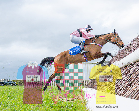 Race 4 - Aston Mullins Stud. Mens Open (72 of 108)