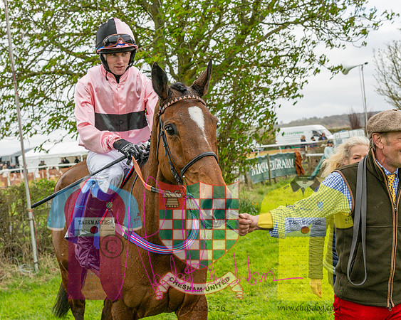 Race 4 - Aston Mullins Stud. Mens Open (92 of 108)