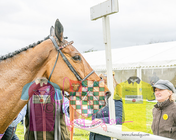 Race 4 - Aston Mullins Stud. Mens Open (94 of 108)