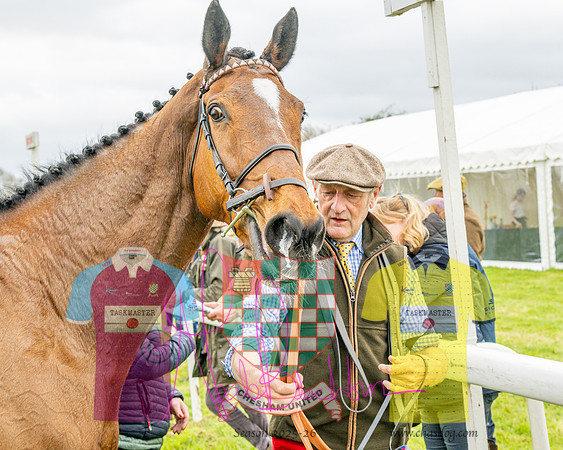 Race 4 - Aston Mullins Stud. Mens Open (95 of 108)