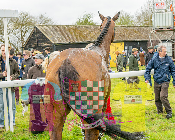 Race 4 - Aston Mullins Stud. Mens Open (96 of 108)