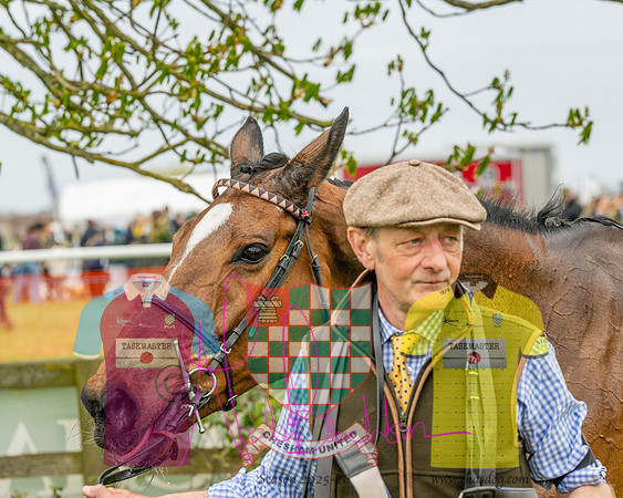 Race 4 - Aston Mullins Stud. Mens Open (103 of 108)