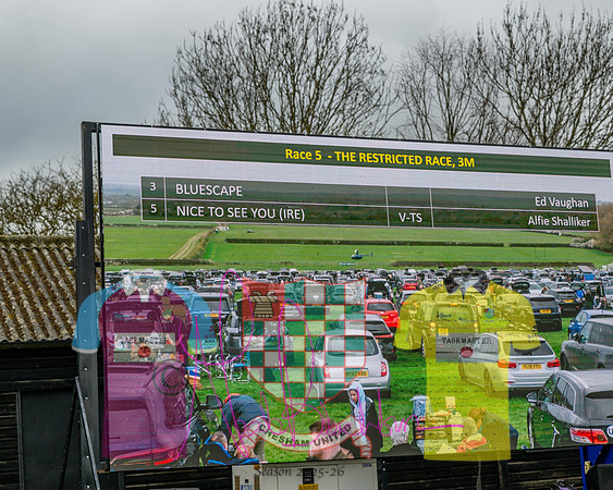 Race 5 - The Richardson's Restricted (1 of 69)