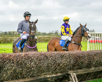 Race 5 - The Richardson's Restricted (2 of 69)