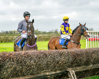 Race 5 - The Richardson's Restricted (3 of 69)