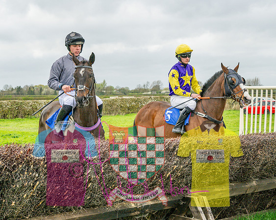 Race 5 - The Richardson's Restricted (3 of 69)