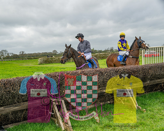 Race 5 - The Richardson's Restricted (4 of 69)