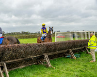 Race 5 - The Richardson's Restricted (7 of 69)