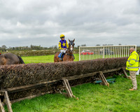 Race 5 - The Richardson's Restricted (8 of 69)