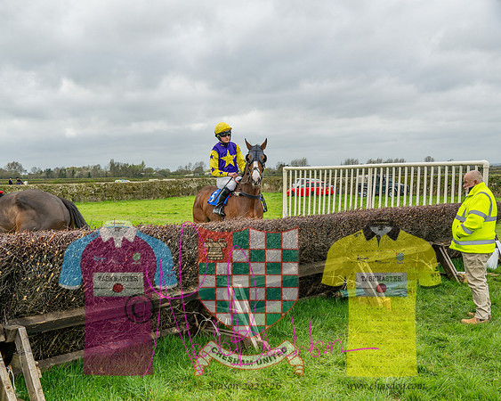 Race 5 - The Richardson's Restricted (8 of 69)