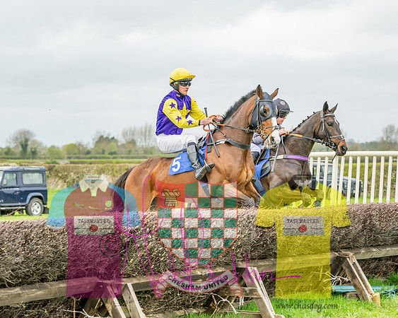 Race 5 - The Richardson's Restricted (14 of 69)
