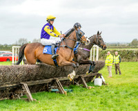Race 5 - The Richardson's Restricted (16 of 69)