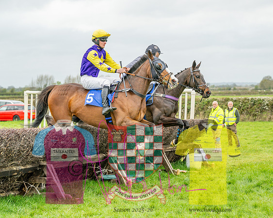 Race 5 - The Richardson's Restricted (16 of 69)