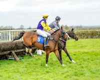 Race 5 - The Richardson's Restricted (18 of 69)