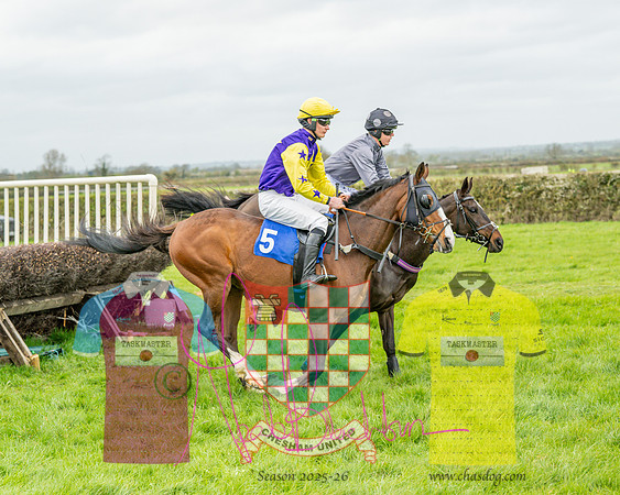 Race 5 - The Richardson's Restricted (19 of 69)