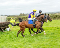 Race 5 - The Richardson's Restricted (20 of 69)