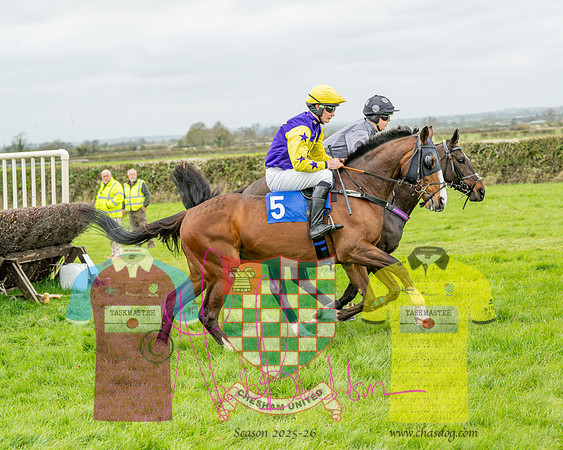 Race 5 - The Richardson's Restricted (20 of 69)