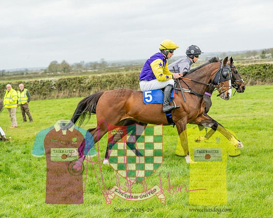 Race 5 - The Richardson's Restricted (21 of 69)