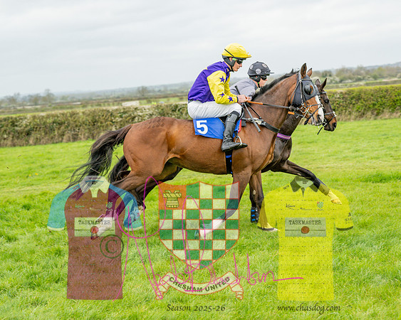 Race 5 - The Richardson's Restricted (22 of 69)