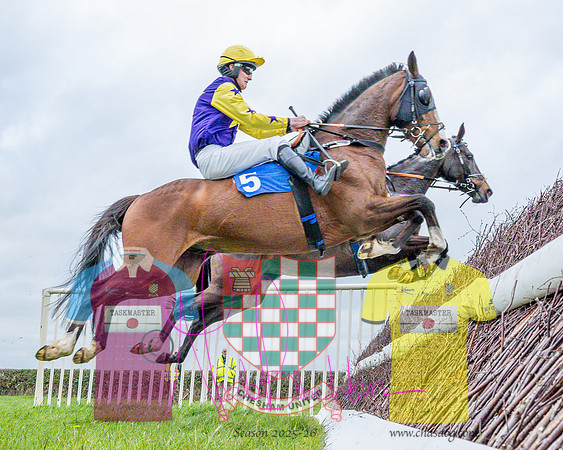 Race 5 - The Richardson's Restricted (25 of 69)