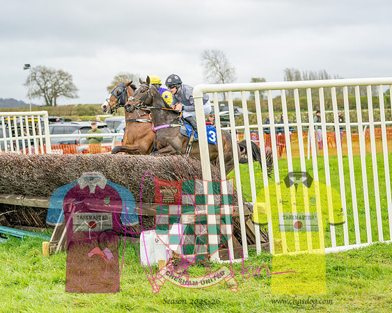 Race 5 - The Richardson's Restricted (29 of 69)
