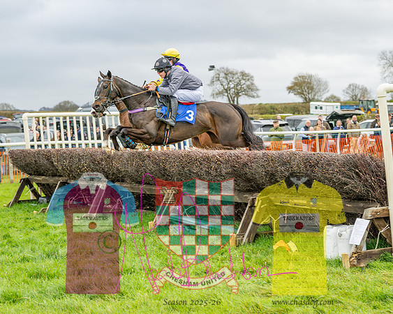 Race 5 - The Richardson's Restricted (32 of 69)