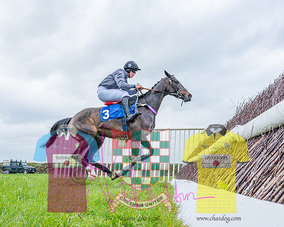 Race 5 - The Richardson's Restricted (36 of 69)