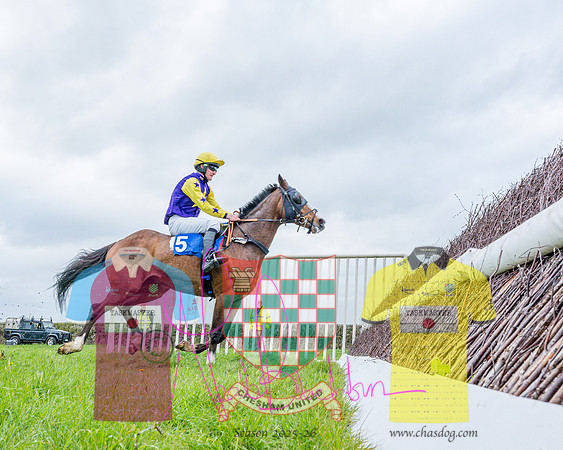 Race 5 - The Richardson's Restricted (38 of 69)